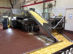 Fresh Martin's Potato Chips move along the conveyer belt getting salted and cooled at the Martin's Potato Chip Factory Tour.