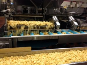Fresh chips come out of the fryer on the Martin's Potato Chip Factory Tour.