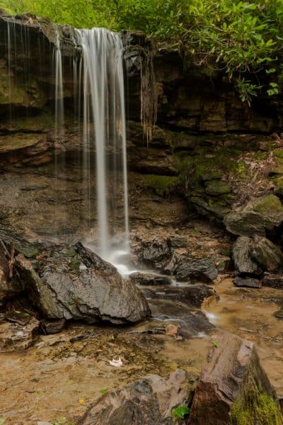 Where is Cole Run Falls in Forbes State Forest?