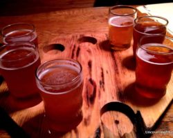 Getting Cozy and Tasting Brews While Visiting North Country Brewing