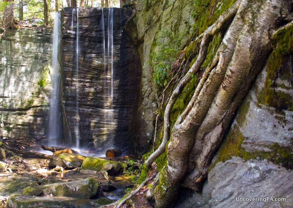 Hector Falls in the Allegheny National Forest of Warren County, PA