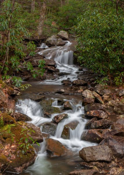 Paige Run the Quehanna Wild Area