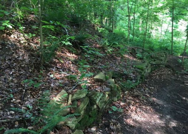 McFeely ruins at Buttermilk Falls