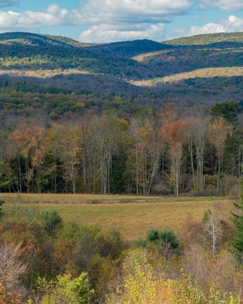 The beauty of Elk County, Pennsylvania