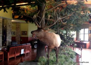 Inside the Elk Country Visitor Center