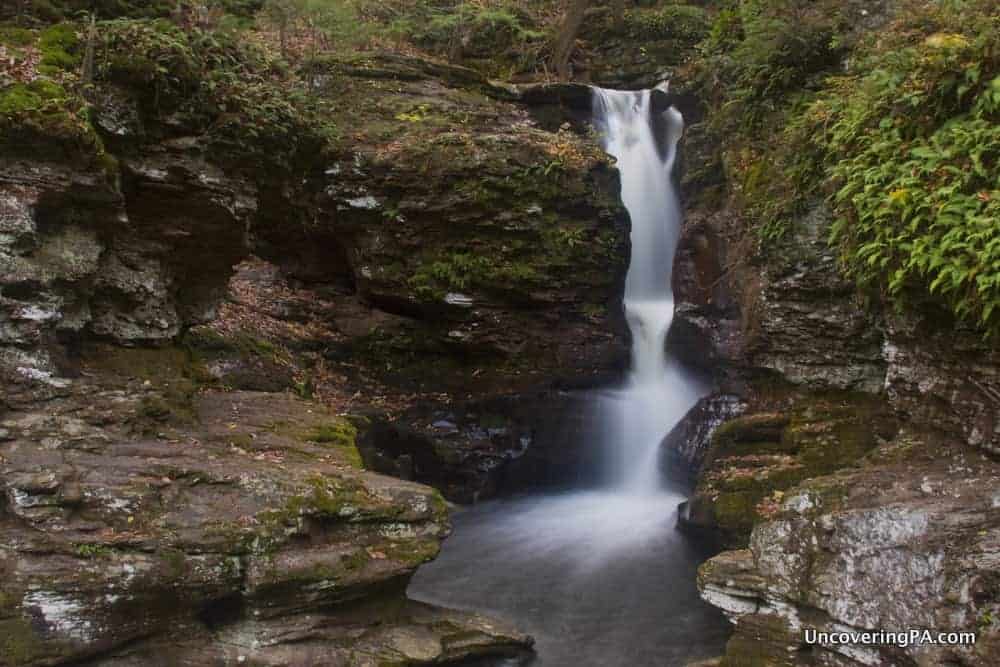 Adams Falls in Ricketts Glen State Park, is an easily accessible waterfall in PA.