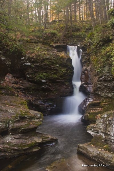 The upper chute of Adams Falls at Ricketts Glen State Park in Pennsylvania.