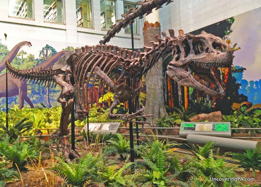 Visiting the Carnegie Museum of Natural History is a great things to do with kids in Pittsburgh, Pennsylvania.