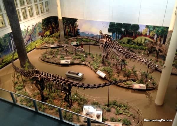 Overlooking several large dinosaur fossils at the Carnegie Museum of Natural History in Pittsburgh, Pennsylvania.
