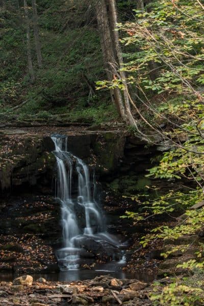 Where is Dry Run Falls near Worlds End State Park in Pennsylvania