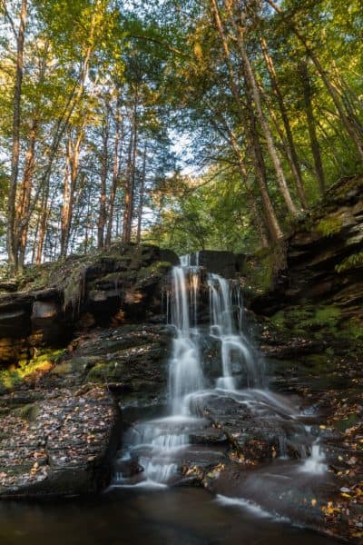 Dry Run Falls in Loyalsock State Forest