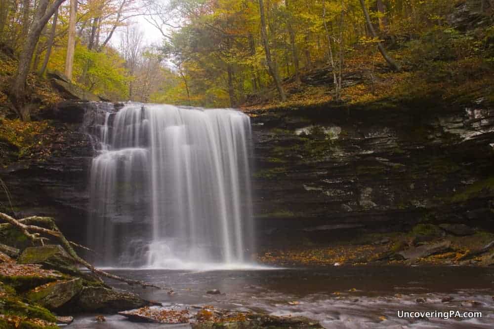 Harrison Wright Falls in Ricketts Glen State Park.