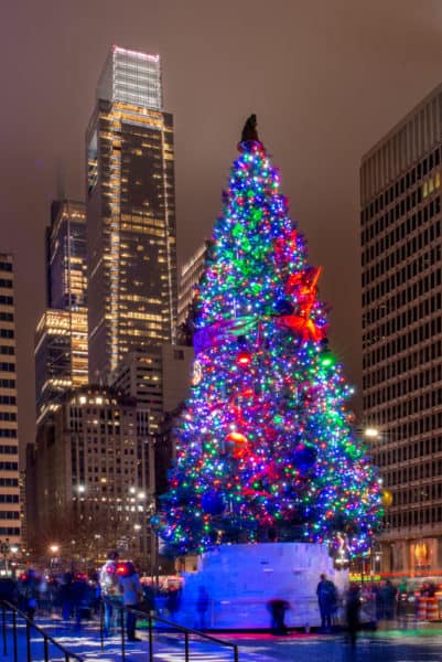 Philadelphia's Christmas trees at City Hall.