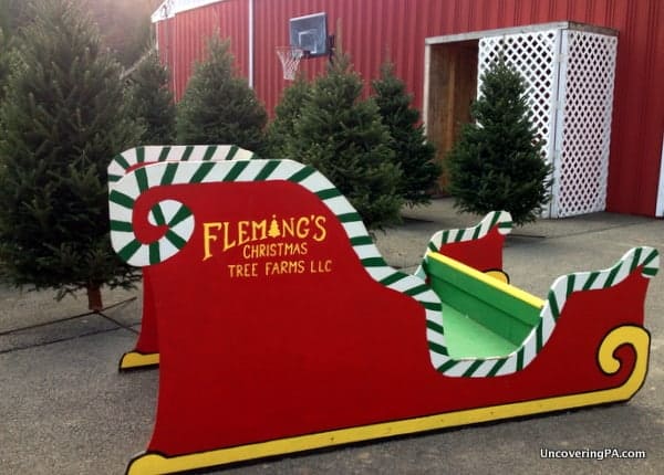 Fleming's Christmas Tree Farm in Indiana County, Pennsylvania.
