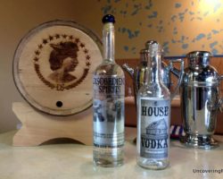 Disobeying Responsibly with a Visit to Disobedient Spirits