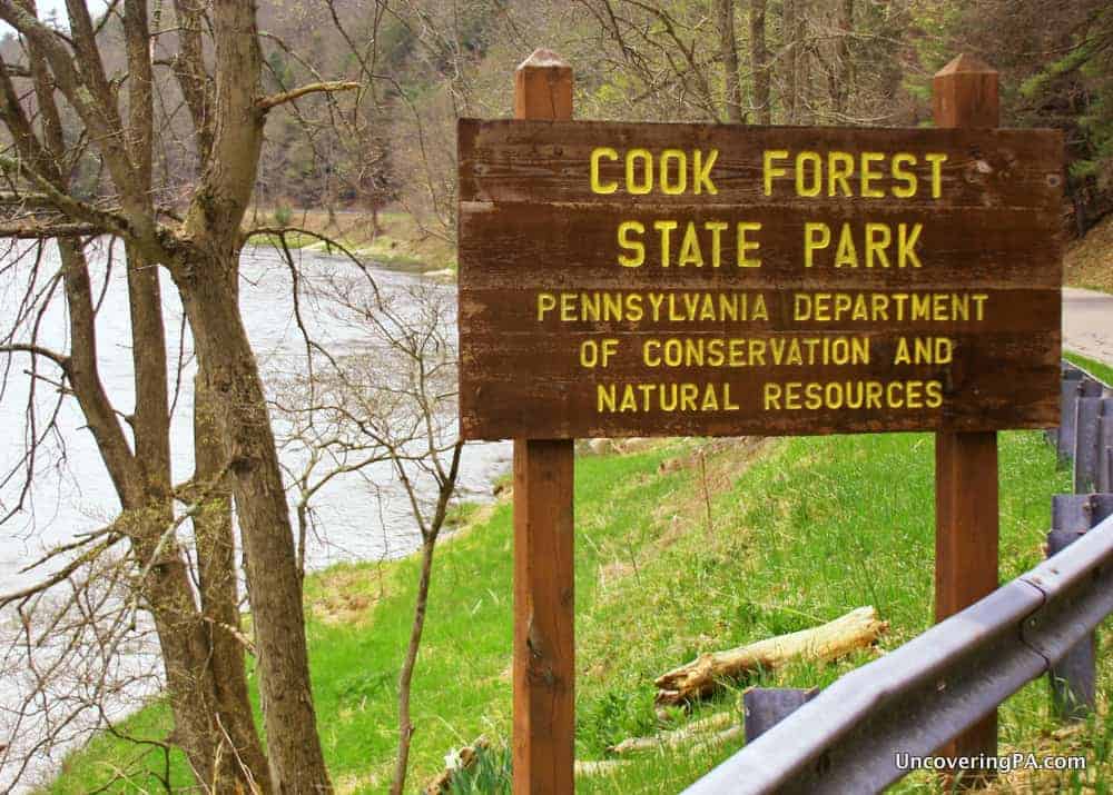 5 Fantastic Reasons to Visit Cook Forest State Park in Pennsylvania