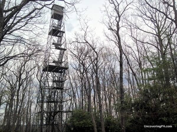 Things to do in Cook Forest - Fire Tower
