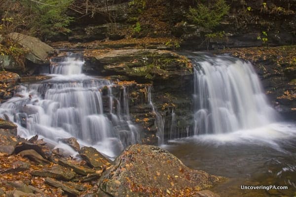 Cayuga Falls in Ricketts Glen State Park.