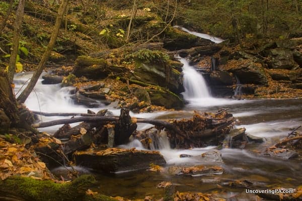 Conestoga Falls in Ricketts Glen State Park