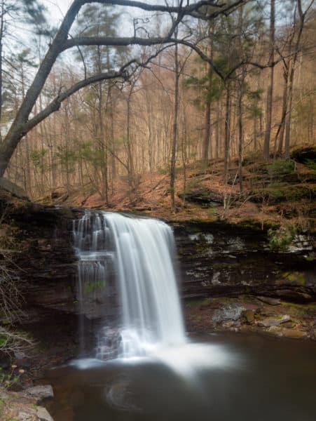 Harrison Wright Falls at Ricketts Glen State Park in Benton PA