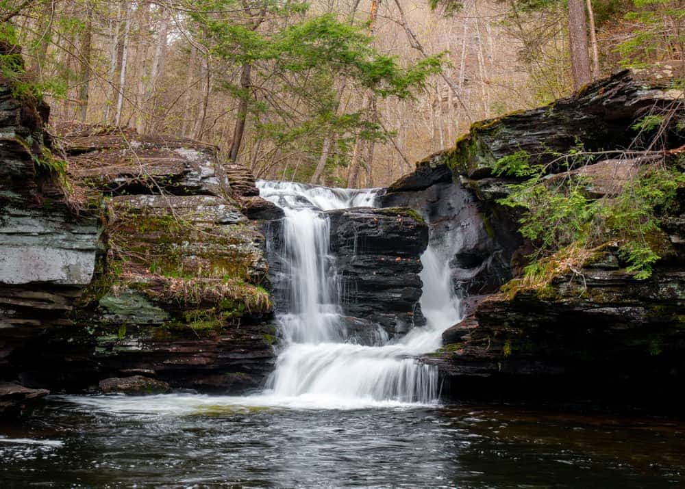 Paradise Falls – My Favorite Hikes