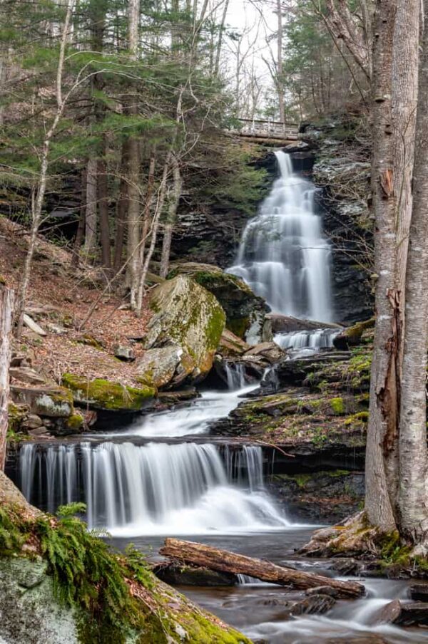 Tips for Hiking the Falls Trail in Ricketts Glen State Park - UncoveringPA