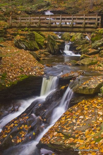 The Falls Trail in Ricketts Glen State Park in PA