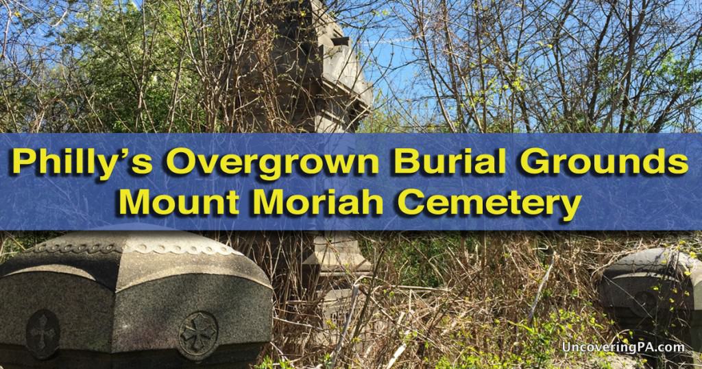 Mount Moriah Cemetery Philly's Overgrown Burial Grounds