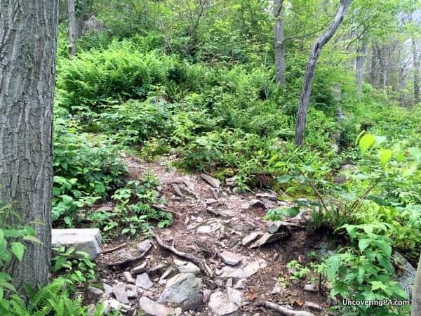 Hiking to Cove Mountain Overlook