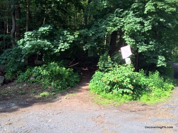 Trail to Hawk Rock Overlook in Ducannon Pennsylvania.