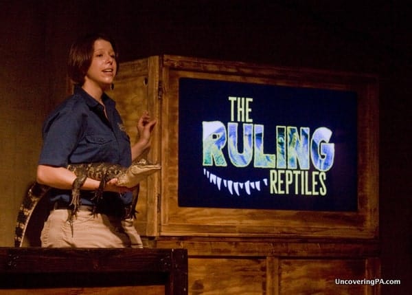 Ruling Reptiles at Clyde Peeling's Reptiland
