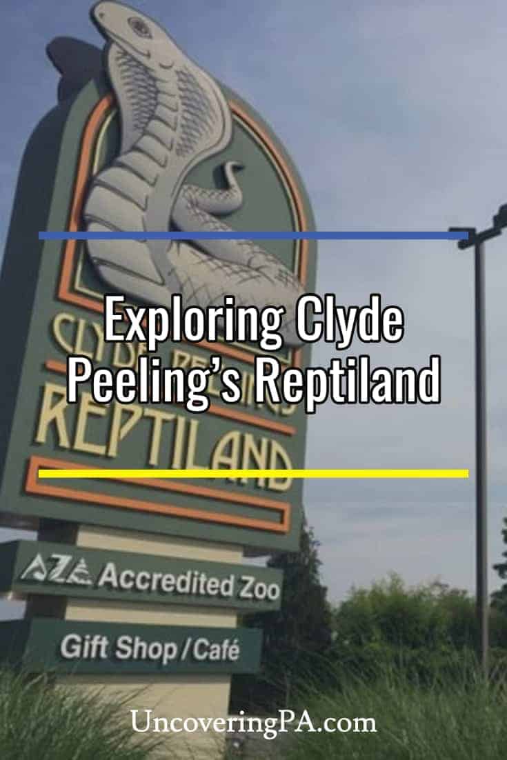 Clyde Peeling's Reptiland A Reptile Lover's Dream Come True