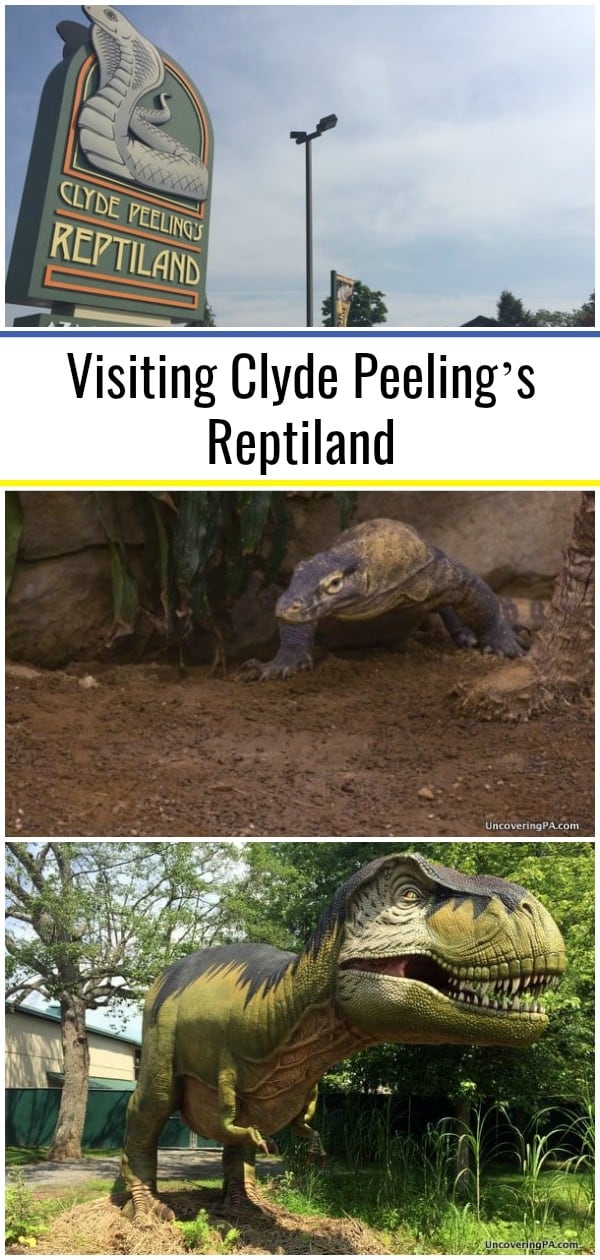 Clyde Peeling's Reptiland A Reptile Lover's Dream Come True