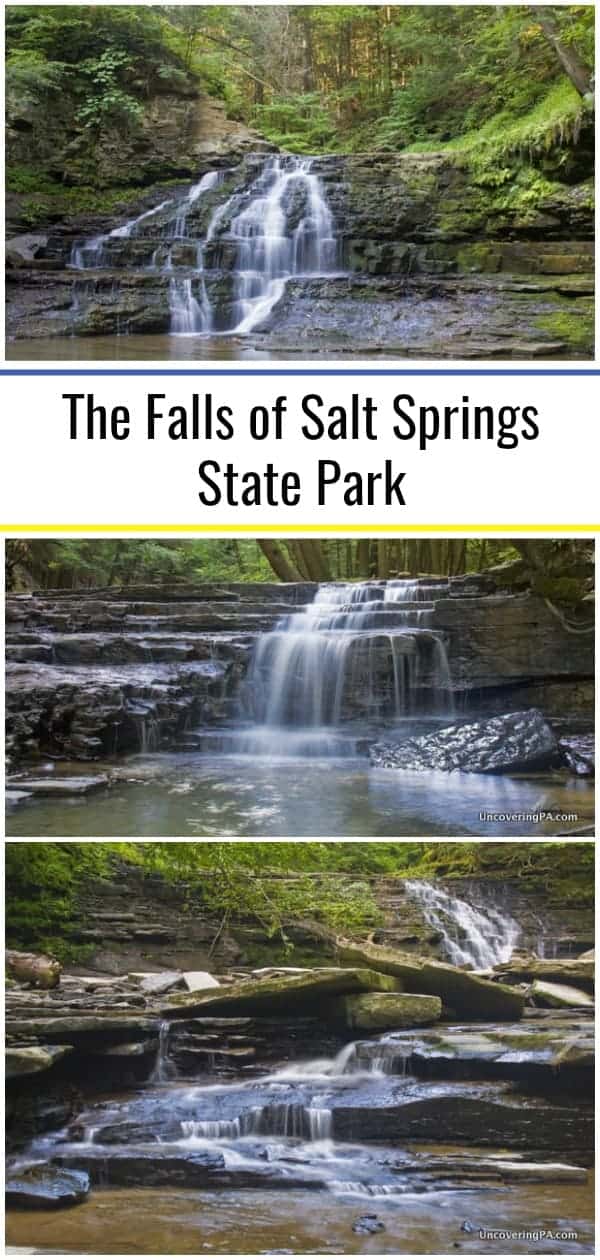 How to Get to the Waterfalls at Salt Springs State Park Uncovering PA