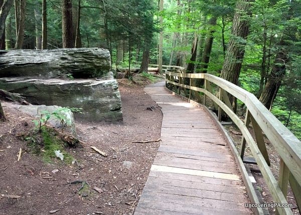 The boardwalk that makes up part of the Hemlock Trail in Salt Springs State Park.