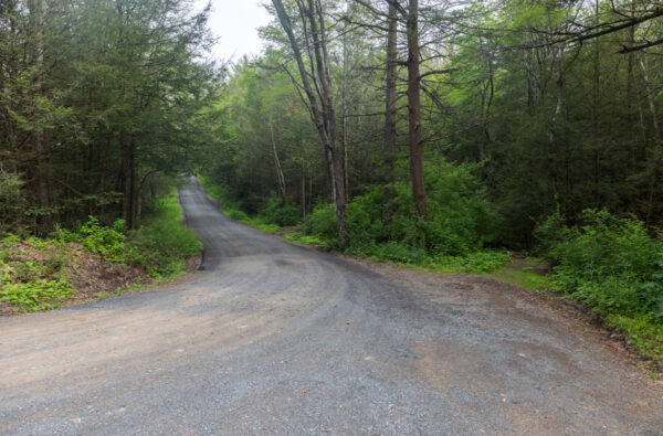 Gravel Road in Clinton County PA