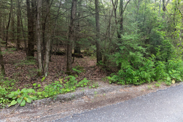 Trailhead for the hike to Rosecrans Falls near Lock Haven PA