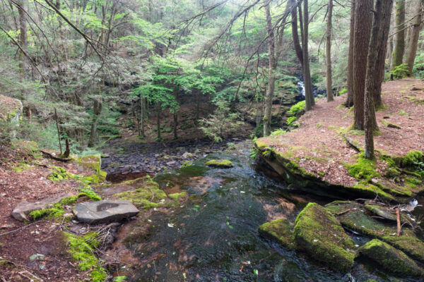 The view from the top of Rosecrans Falls in Clinton County PA