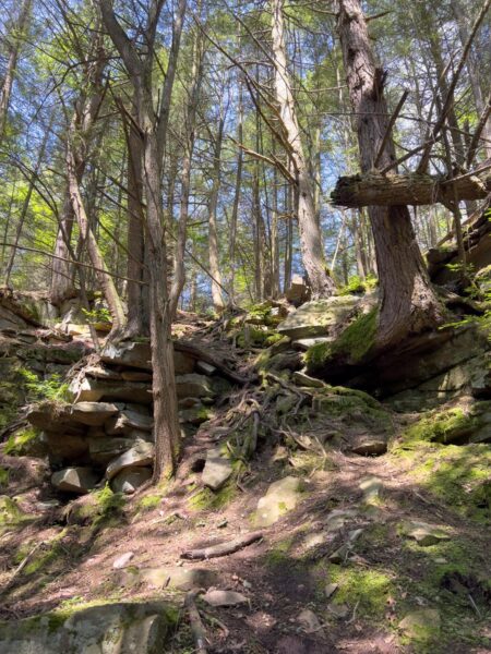 Trail to the bottom of Rosecrans Falls in Pennsylvania