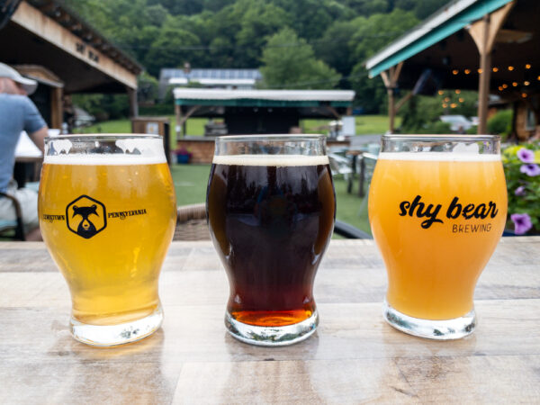 A flight of beers at Shy Bear Brewing in Lewistown, PA