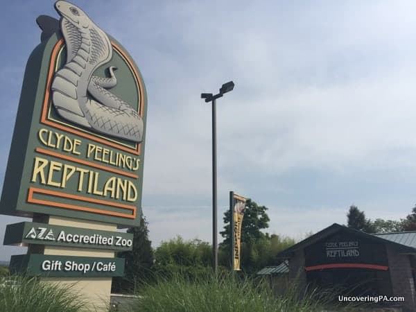 Visiting Clyde Peeling Reptiland near Williamsport, PA