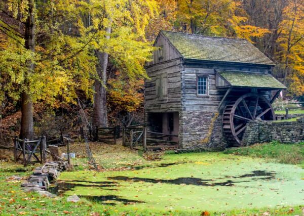 Cuttalossa Farm in Bucks County with PA fall foliage