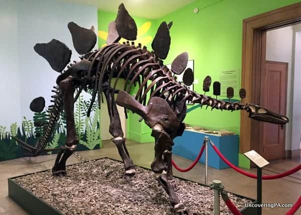 Everhart Museum Dinosaur Fossil