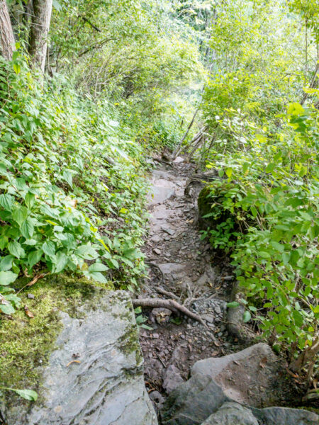 Trail to Tanners Falls in Wayne County PA