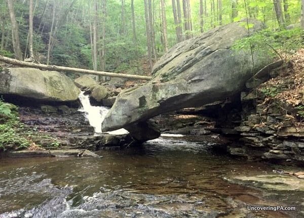 Balanced Rock on Miners Run Loyalsock State Forest PA