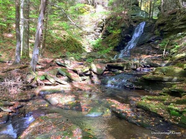 Downstream of East Branch Falls Hillsgrove Pennsylvania