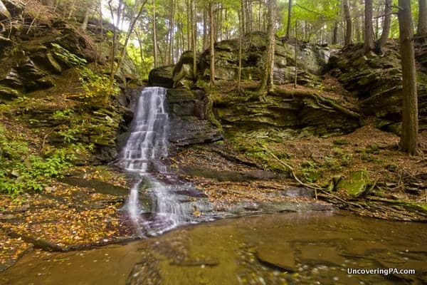 East Branch Falls in Loyalsock State Forest of PA