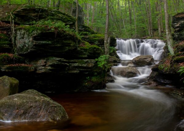 Miners Run Waterfalls in Lycoming County, PA