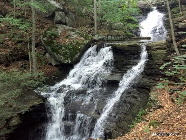 Miners Run Waterfalls McIntyre Wild Area PA