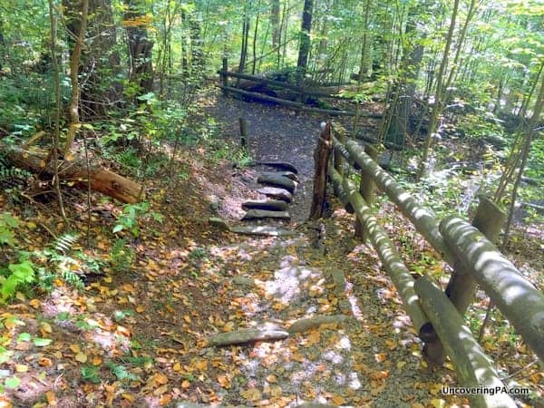 Trail to Raymondskill Falls Delaware Water Gap PA